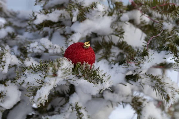 Ljusa bollar på en cristmas trädgrenar på en ren ren snö fo — Stockfoto