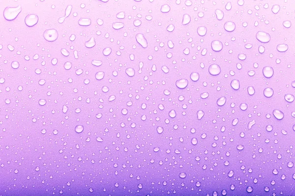 Gotas de água em um fundo a cores. Foco seletivo. Roxo. T — Fotografia de Stock