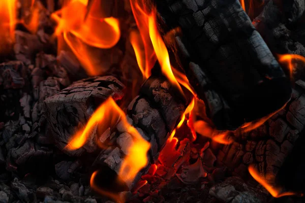 Queimar troncos de madeira, cozinhar em chamas, noite quente, brilhos em th — Fotografia de Stock