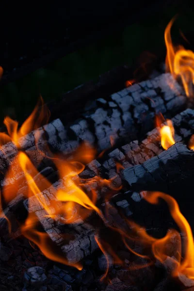 Queimar troncos de madeira, cozinhar em chamas, noite quente, brilhos em th — Fotografia de Stock