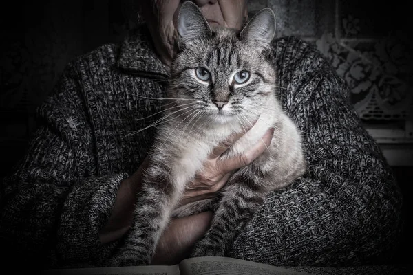 Elderly woman with cat in rustic interior. Toned — Stock Photo, Image