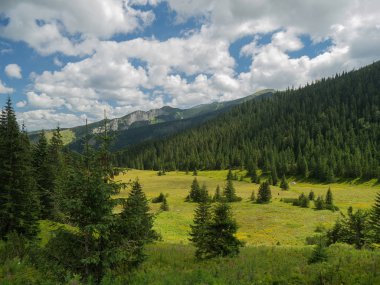 Zakopane, Polonya Tatra Dağları