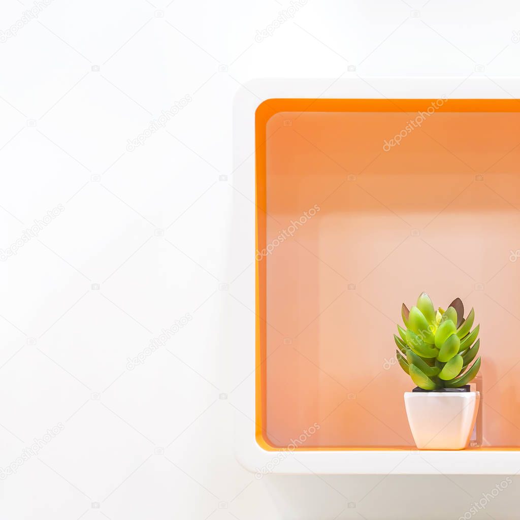 Details and design elements of home decor and interior. Clean, order. Geometric shelves in white orange with succulent in a pot of modern style