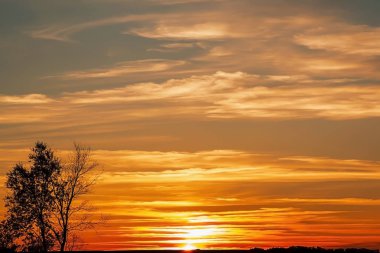 Manzara yaz. Gökyüzü gün batımı ve arka planda bir ağacın silüeti akşamları turuncu kırmızı parlak renk