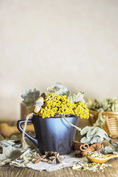 Medicina Herbal Homeopatia Coleção Ervas Medicinais Para Chá Medicamentos Flores — Fotografia de Stock