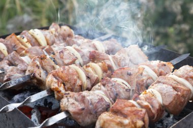 Ateşte yemek, piknik. Domuz eti turşusu ızgara üzerinde kömürler üzerinde ızgara kokulu lezzetli sıcak barbekü shashlik pişirme, domuz eti ve şiş soğan ile sığır eti