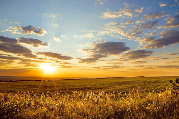 Саратовская область, путешествия, пейзажи и природа России. Желто-золотисто-оранжевый красивый восход солнца в сумерках над бесконечными полями, шипами и метеорными потоками. Солнце встает над горизонтом утром или садится вечером
