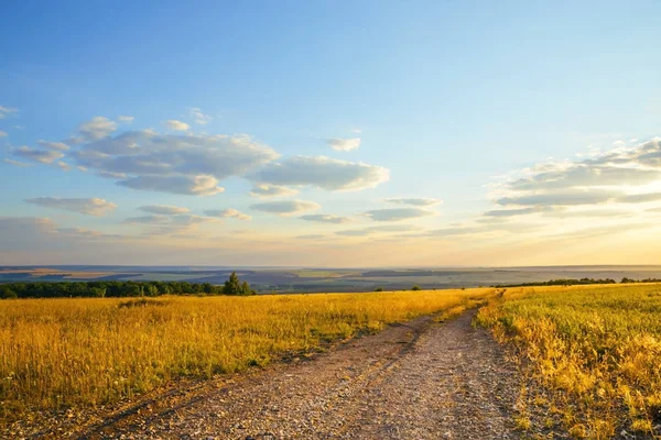 Természet és turizmus Oroszországban a Szaratov régióban. Tájképi egy rét aranysárga színű a háttérben a reggeli kék ég a felhők és az út a távolság jó napsütéses időben hajnalban — Stock Fotó