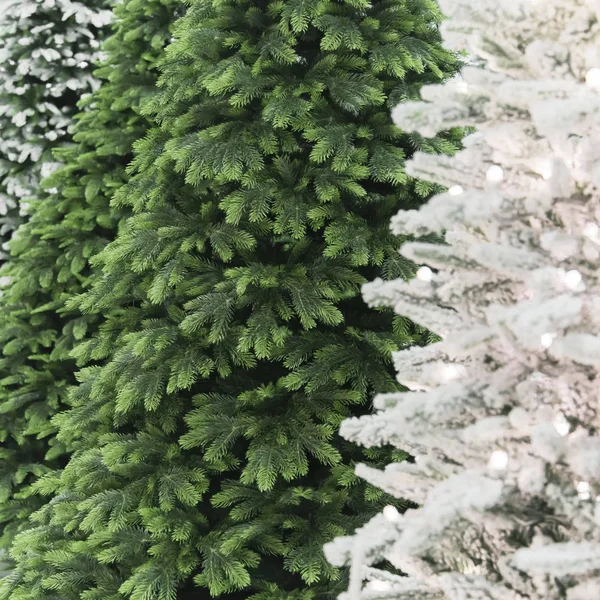 Decoración de Año Nuevo y Navidad. Fondo festivo con una textura diferente para elegir entre decorativas ramas artificiales cubiertas de nieve de árboles de Navidad en blanco y verde —  Fotos de Stock