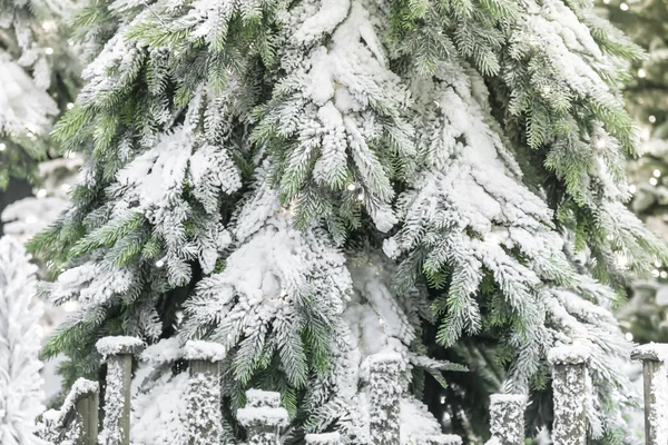 New Year and Christmas decor. Festive background with texture of decorative artificial shining snow-covered branches of Christmas trees in green — Stock Photo, Image