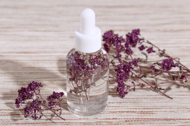 Beden eğitimi. Bitkisel Alternatif Tıp. Bej arka planda bir masada, sağlık için bir pipetle baloncuğun içinde tıbbi bir bitki kekikotu enfüzyonu. Kozmetik, aromaterapi