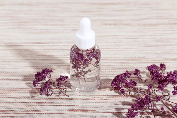 Beden eğitimi. Bitkisel Alternatif Tıp. Bej arka planda bir masada, sağlık için bir pipetle baloncuğun içinde tıbbi bir bitki kekikotu enfüzyonu. Kozmetik, aromaterapi