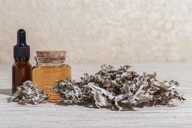 Beden eğitimi. Bitkisel Alternatif Tıp. Bej bir arka planda, bir masada, sağlık için bir pipetle baloncuğun içindeki tıbbi bitki yosunu Cetraria Islandica 'nın enfüzyonu. Öksürük ilacı
