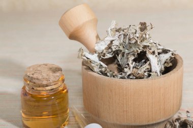 İzlanda cetaryası, ahşap havan, pipet ve kavanozdaki sağlıklı kuru yosunları ilaçla iyileştiriyor. Alternatif ilaçlar, bitkisel ilaçlar, şifalı bitkiler, bitkiler. Öksürük şurubu