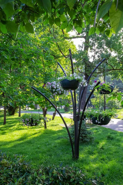 Όμορφη Διακόσμηση Κήπου Στην Πίσω Αυλή Dunshaft Σχεδιασμό Ανθίζοντας Λουλούδια — Φωτογραφία Αρχείου