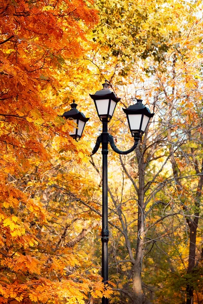 Autunno Sfondo Naturale Con Lampada Lanterna Con Texture Fogliame Giallo — Foto Stock