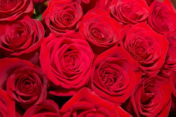 Close-up view of a beautiful bouquet of red roses. Natural red roses background. Romantic red roses bouquet pattern background close up.