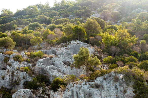 Collines Kekova Ville Antique Arbres Verts Turquie — Photo