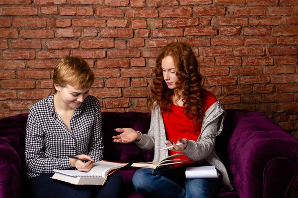 Twee vrouwelijke studenten leren samen thuis. — Stockfoto