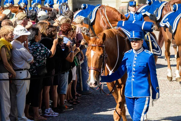 Remplacement de la garde au Palais de Stockholm . — Photo