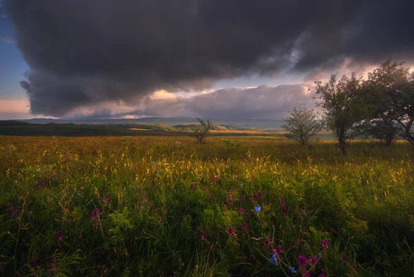 Прекрасне барвисте місце в кавказьких горах — стокове фото