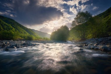 Güzel güneşli yaz manzarası. Hızlı akan dağ nehri