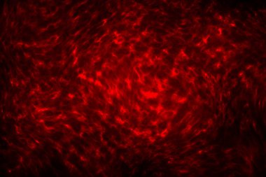 Güzel soyut fantezi dünyası. Karanlık arka plan. 3D İllüstrasyon, bilim kurgu duvar kağıdı