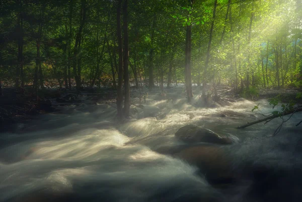Чудова Річка Джорджії Кавказькі Гори Літній Краєвид — стокове фото
