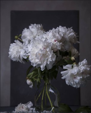 karanlık bir arka plan üzerinde vazoda pembe peonies