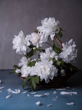 karanlık bir arka plan üzerinde vazoda pembe peonies