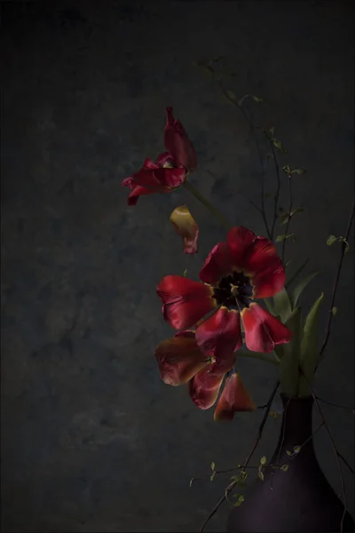 red flowers in vase on dark background