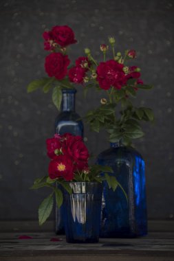 karanlık odada vazo içinde adet kırmızı gül