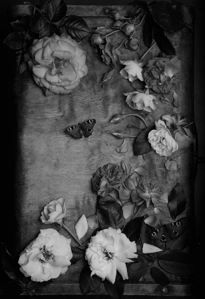 Černobílé Fotografie Různých Květin Motýlů Dřevěnou Hranici — Stock fotografie