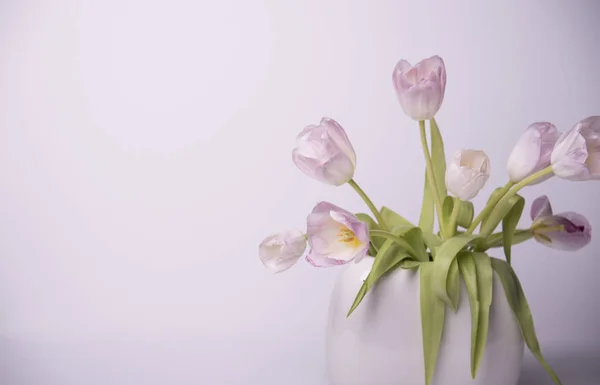 Růžové Tulipány Váze Bílém Pozadí — Stock fotografie