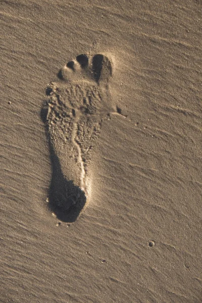Κάτοψη Του Ανθρώπινου Αποτυπώματος Αμμώδη Παραλία — Φωτογραφία Αρχείου