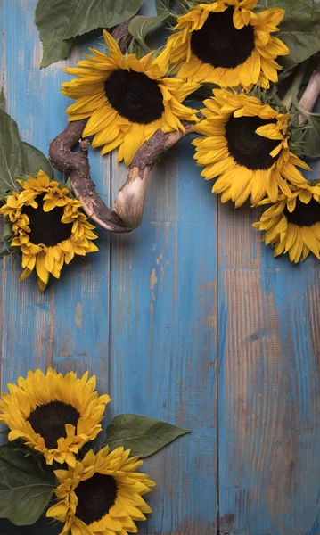 Slunečnice Rustikální Dřevěné Pozadí — Stock fotografie