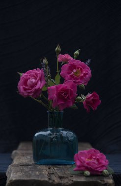 pembe gül yaprakları üzerinde çiy ile yakın çekim