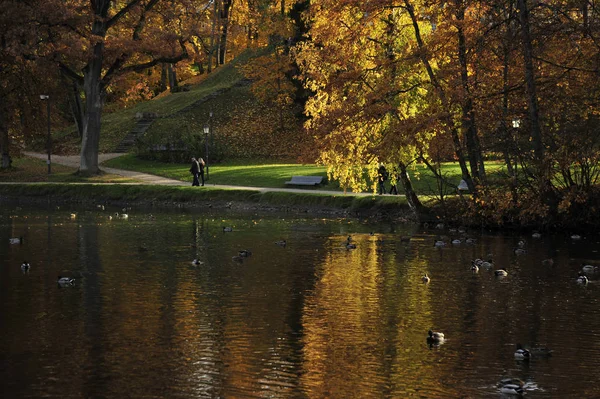 Pohled Podzimní Park Dne — Stock fotografie