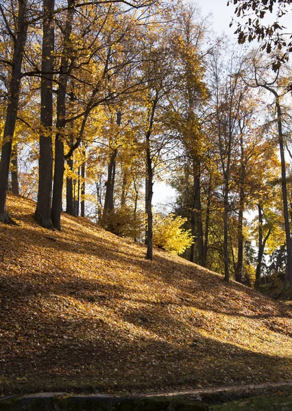 Pohled Podzimní Park Sun Světla Dne — Stock fotografie