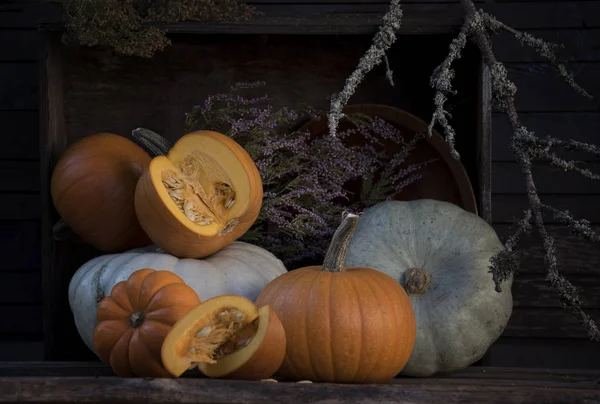 Composition of different pumpkins and plant branches