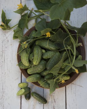 kahverengi kase olgun yeşil salatalık üstten görünüm