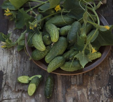kahverengi kase olgun yeşil salatalık üstten görünüm