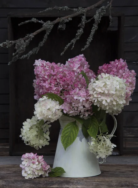 Fleurs Lilas Colorées Vase Blanc Sur Fond Gris — Photo