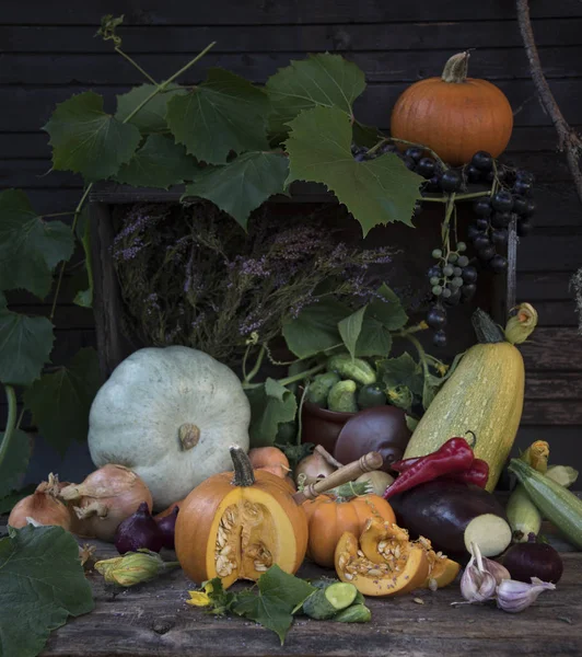 Composition Différentes Citrouilles Légumes Style Rustique — Photo