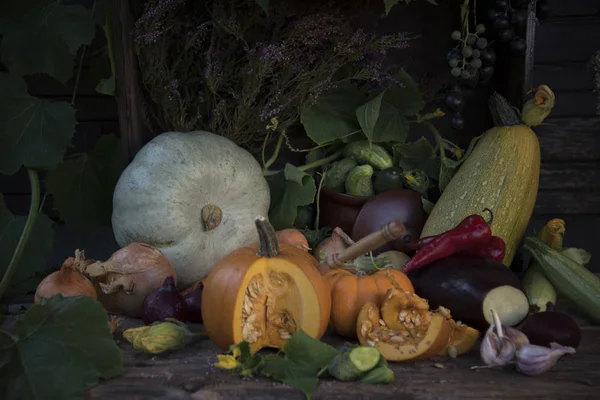 Composition Différentes Citrouilles Légumes Style Rustique — Photo