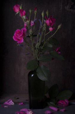 pembe gül yaprakları cam vazo içinde sunulan üzerinde çiy ile yakın çekim