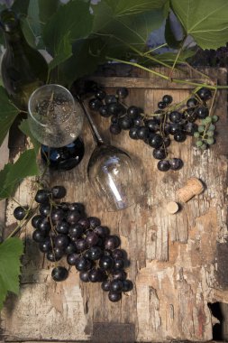 İki gözlük ve ahşap arka plan üzerinde üzüm şarap