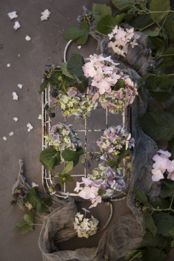 taze çiçekler ve eşarp ile rustik metal sepet üstten görünüm