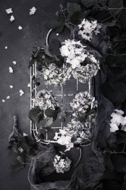 taze çiçekler ve eşarp ile rustik metal sepet tek renkli fotoğraf