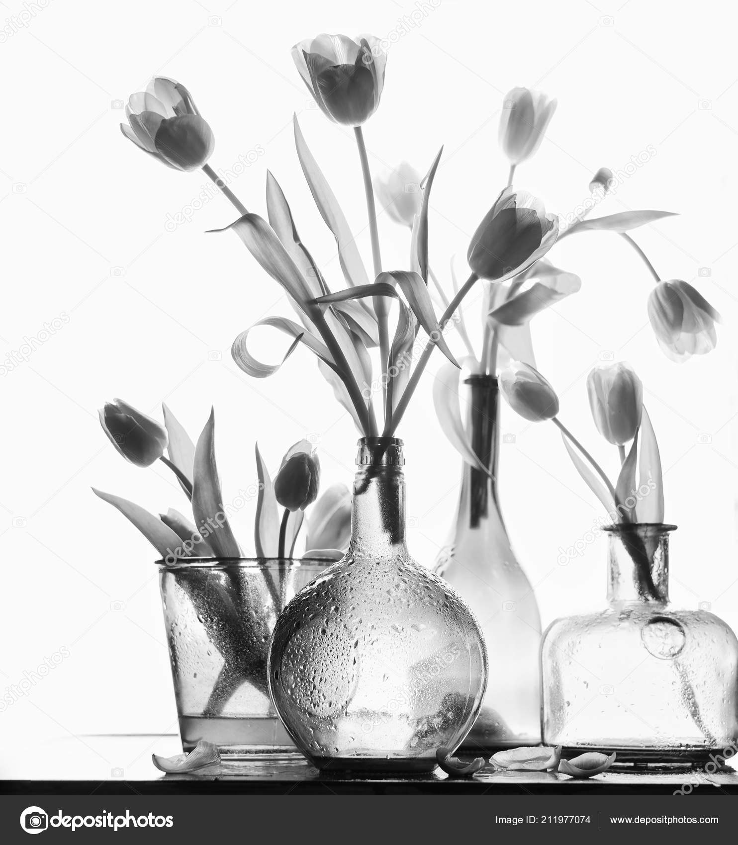 Black White View Vases Tulips Stock Photo C Airimic 211977074